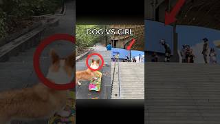 Skater dog VS Skater girl