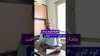 میزان مصرف کود دامی به ازای هر درخت؟