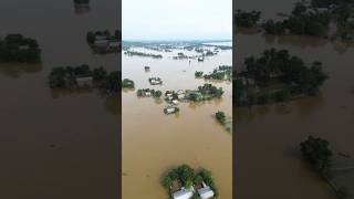 Flood in Assam #assam #flood #assamese