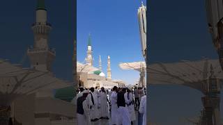 Today Madina Sharif Masha Allah Subhanallah #viral #islamicstatus #shorts