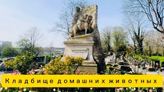 Кладбище 🪦 Животных в Париже на берегу Сены , Они на радуге 🐝🐈🦮🌈💔