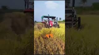 Tractor mounted ripper cutter #virelvideo #agriculture #farming #farmer #trending #massey_tractor