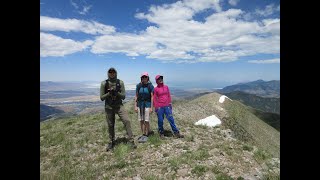 Kelsey Peak White Pine & more Jun 23 2024