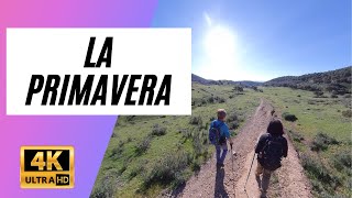 Paseos por Nuestra Sierra - 4K