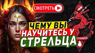 Чему вы научитесь у Стрельца