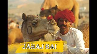 Jahaj Bai |  जहाज बाई | Jahaj Bai Ne Jovan De | राजस्थानी वीडियो गीत | Rajasthani Songs | 2018 |