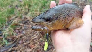 PA Trout Fishing in Rainy Conditions