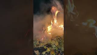 Листья жгут - как осенний салют ! Leaves! Fire! Firework !