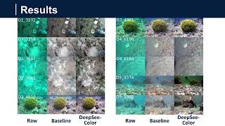 DeepSeeColor: Removing backscatter and color attenuation from underwater images in realtime