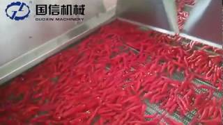 Myanmar customer working site pepper red chili washing and drying machine