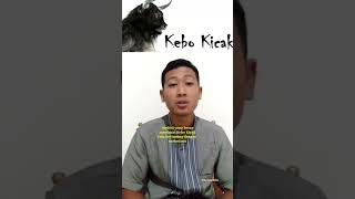 Sejarah Kabupaten JOMBANG #shorts #shorts #shortvideos #sejarahindonesia