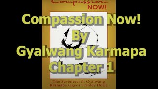 Compassion Now By Gyalwang Karmapa Chapter 1