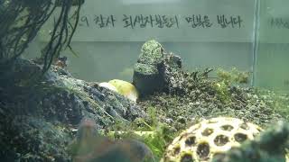 [1029참사 추모 어항방송] Aquarium Live - 2023.03.15 Wed KST