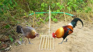 Chicken Trap Technology Using Cutter & Bamboo Wood - Catching Wild Chicken By Trap