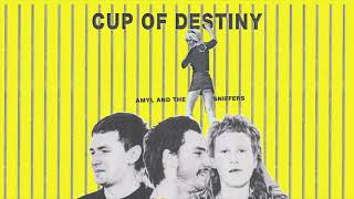 Amyl and The Sniffers  - Cup Of Destiny (Official Audio)