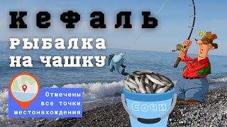 Ловля кефали на чашку/в черном море с берега (рыбалка на кефаль)