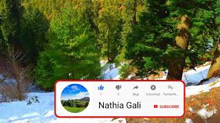 Subscribe For Nathia Gali Youtube Channel