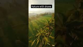 Nature with drone shot forward to your nature lover