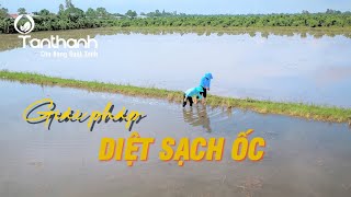 [CMCS] Giải pháp diệt ốc.