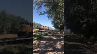 UP 4055 Highballs a southbound freight train witha K5LLA Horn! #railway #unionpacificrailroad #train