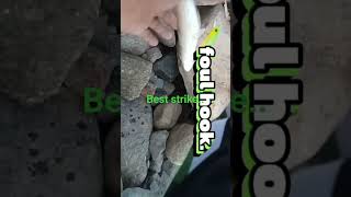 #bestSTRIKE