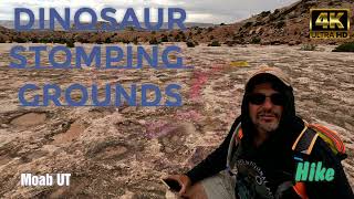 Dinosaur Stomping Grounds - Moab Utah - Hike