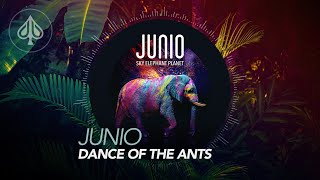 Junio - Sky Elephant Planet - 07 - Dance of the Ants (Official Motion Video)