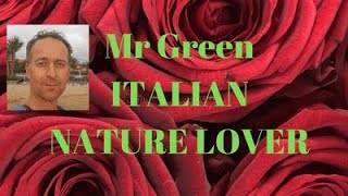 Mr Green presenta la pianta di Lagerstroemia