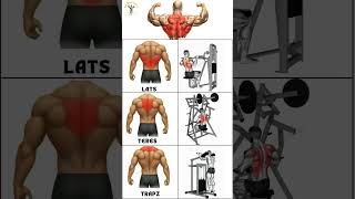 How to target each bck muscles by lever#fitness #gym #backtowork #workout