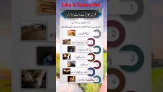 قبر میں کام انے والے سات اعمال#islamicshort #shortsviral #youtube