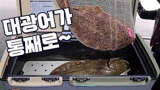 대광어.한치.갈치 등 긴~사이즈 물고기가 안 접히고 통째로!!! 이런 쿨러 필요했는데~~