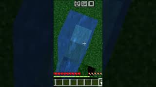 Minecraft water clutch #minecraft