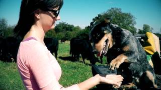 Young beginning farmers describe their experience buying land & working with FCS Financial & USDA