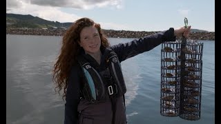 Back from the Brink: oyster ocean superheroes