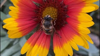 Всем мира и добра! Живите здесь и сейчас 💐