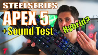 SteelSeries Apex 5 Keyboard Review - It Looks Amazing But....  (Typing Test/Sound Test)