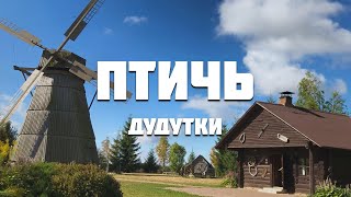 Птичь от истока до устья (ч. 5)