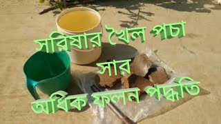 সরিষার খৈল পচা সার দিয়ে অধিক ফলন। জৈব সার দিয়ে গাছের বৃদ্ধি ও পদ্ধতি।