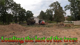 Taking Down The Last Few Trees On The House Lot