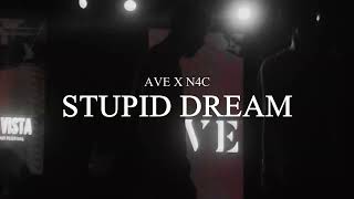 N4C X AVE - Stupid Dream (Feat. Ysabelle)