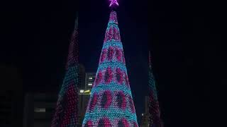 Christmas tree at Adelaide city￼