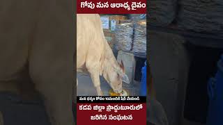 గోవు మన ఆరాధ్య దైవం | cow feeding | Hindu's | Hinduism | national animal | Hindu vs others