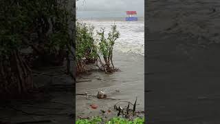 Henry Island & bayofbengal #bakkhali #westbengal #travelshortsvideo