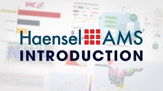 Haensel AMS: Introduction