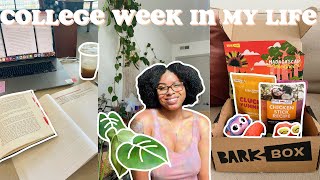 college week in my life | Merit Beauty review, studying + a wild puppy lol