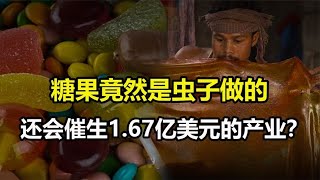 万万没想到！糖果竟然是虫子做的？还催生了一个1.67亿美元的产业