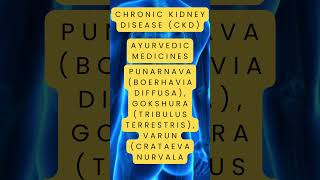 Chronic Kidney Disease