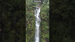 Peaceful Waterfall Sounds #relaxation #naturesounds #shorts