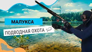 Подводная охота карьер Малукса.  Самые прозрачные озера и карьеры в Ленинградской области