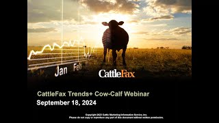 CattleFax Trends+ Webinar - September 18, 2024